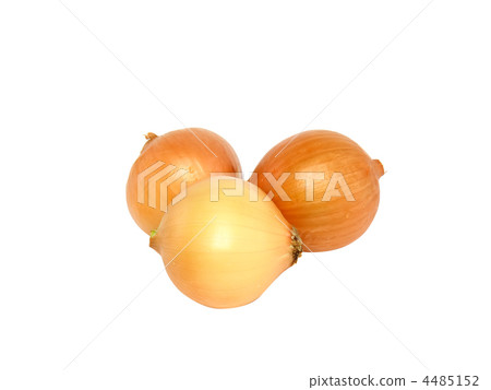 Onion . Isolated Onion . Isolated 4485152
