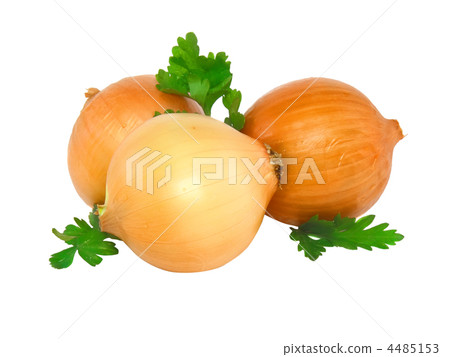 Onion decorating of parsley . Isolated Onion decorating of parsley . Isolated 4485153