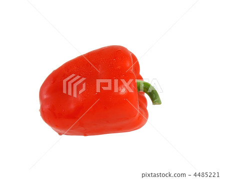 Single red sweet pepper. Isolated Single red sweet pepper. Isolated 4485221