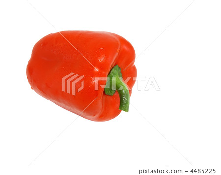 Single red sweet pepper. Isolated Single red sweet pepper. Isolated 4485225