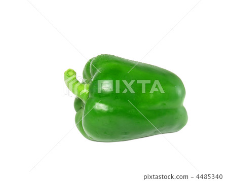 Single green sweet pepper. Isolated Single green sweet pepper. Isolated 4485340