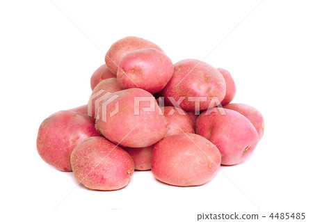 Young pink potato. Isolated Young pink potato. Isolated 4485485
