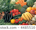 Fruit and vegetable gathering 4485510
