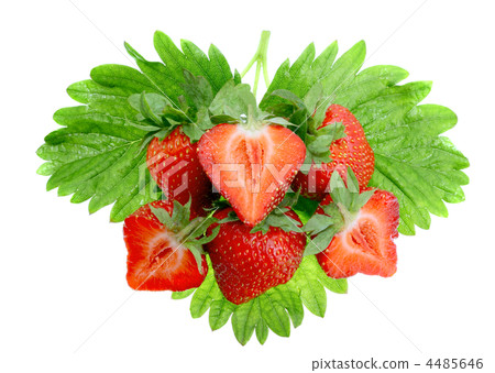A heap of strawberries on green foliage. Isolated 4485646