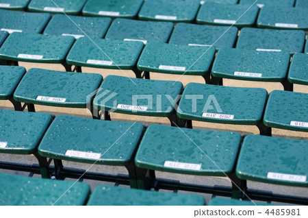 體育場座位 體育場座位 4485981