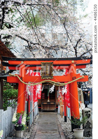 天神的Tamatsu Inari神社一開始 4486150