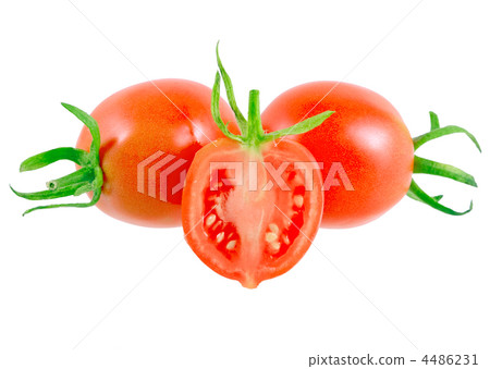 Lush cutting tomatoes . Isolated Lush cutting tomatoes . Isolated 4486231