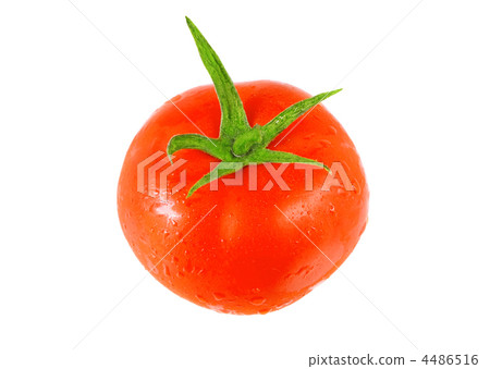 Single  tomato  .  Isolated 4486516