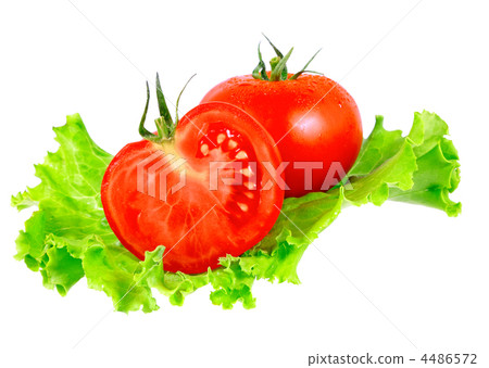 Lush tomatos with green leafs. Isolated 4486572