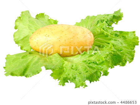 Young potatoes, decorating of lettuce . Isolated 4486653