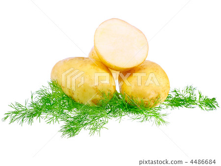 Young potatoes, decorating of dill . Isolated 4486684