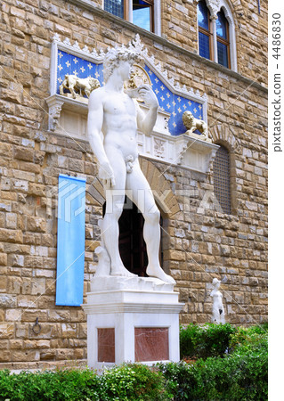 Michelangelo's replica David . Florence, Italy Michelangelo's replica David . Florence, Italy 4486830