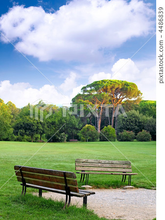 Two benches in the meadow. Two benches in the meadow. 4486839