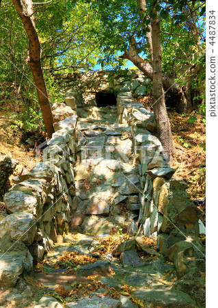 Water way in forest. 4487834