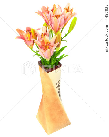 Pink liliesin vase on white background. Isolated. 4487835