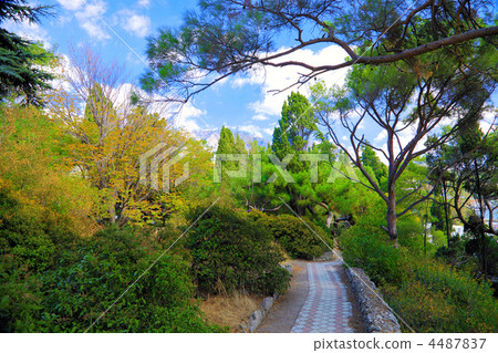 Tropical park near the villa. 4487837