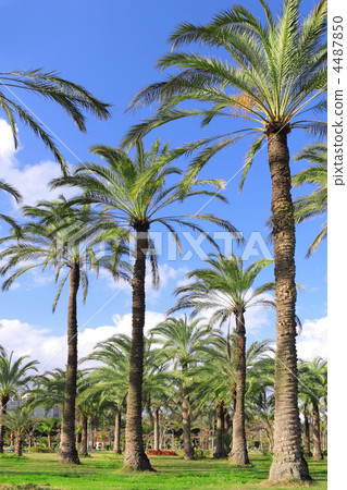 Montaza Palace in Alexandria, Egypt. Montaza Palace in Alexandria, Egypt. 4487850