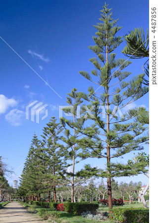 Montaza Palace in Alexandria, Egypt. 4487856