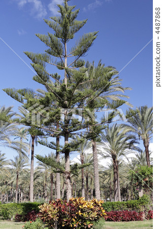 Montaza Palace in Alexandria, Egypt. 4487868