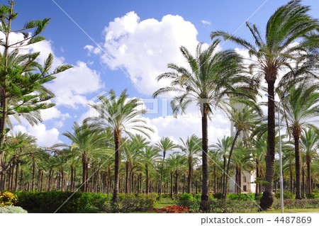 Montaza Palace in Alexandria, Egypt. 4487869