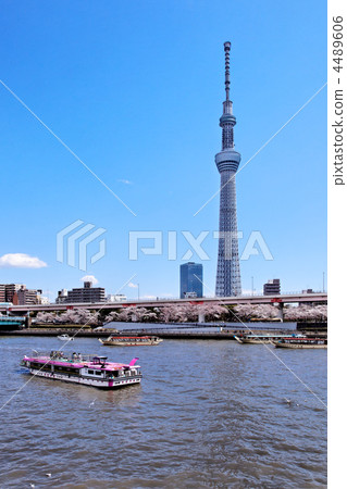 在隅田川盛開的櫻花傳播藍天,Yakata小船和東京天空樹 在隅田川盛開的櫻花傳播藍天,Yakata小船和東京天空樹 4489606