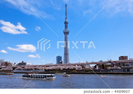 在傳播藍天，遊船和東京天空樹的隅田川盛開的櫻花 4489607