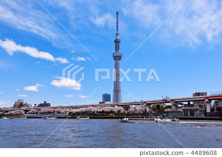 在傳播藍天，遊船和東京天空樹的隅田川盛開的櫻花 4489608