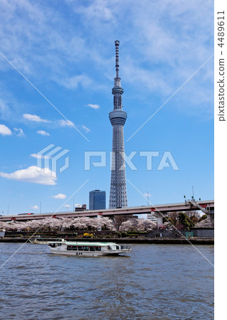 在隅田川盛開的櫻花傳播藍天,Yakata小船和東京天空樹 在隅田川盛開的櫻花傳播藍天,Yakata小船和東京天空樹 4489611
