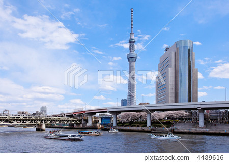 在傳播藍天,遊船和東京天空樹的隅田川盛開的櫻花 在傳播藍天,遊船和東京天空樹的隅田川盛開的櫻花 4489616