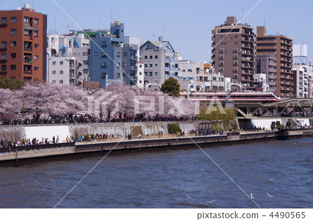 景色 墨田區 架空電纜 4490565
