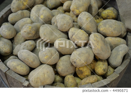 potato, vegetables, vegetable 4490871