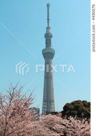Spring Sky Tree Spring Sky Tree 4490876