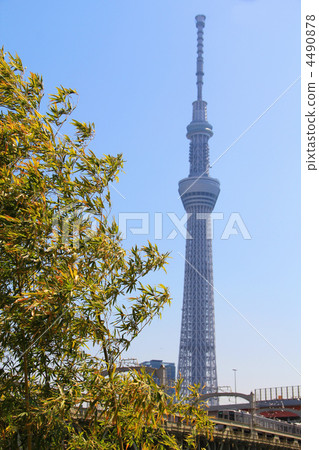 天空樹 天空樹 4490878