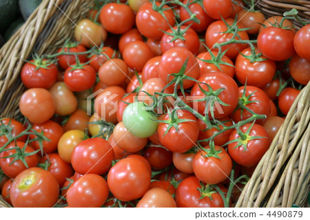 tomato, tomatoe, vegetables 4490879