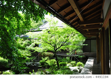 Housenpa庭院 4491194