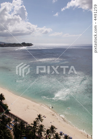 Resort 4491259