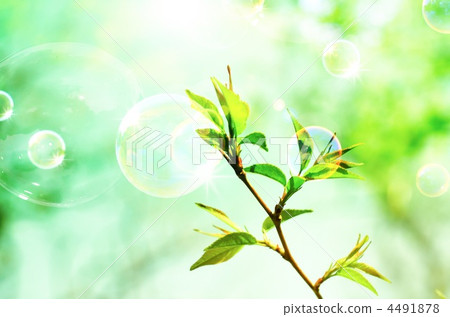 Fresh green Fresh green 4491878