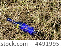 Glass Bottle, garbage, litter 4491995