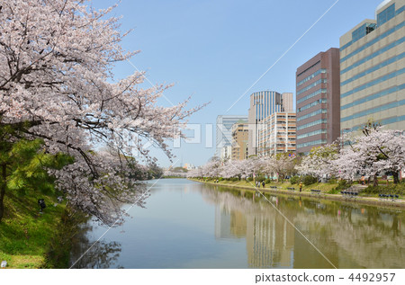 The moat of Fukuoka castle The moat of Fukuoka castle 4492957