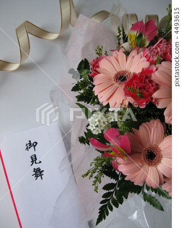 Illness symptoms 4493615