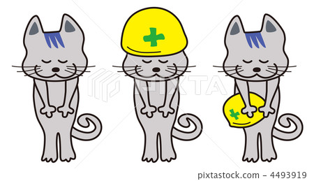 Apology (cat) Apology (cat) 4493919