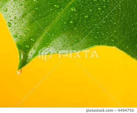 4494750