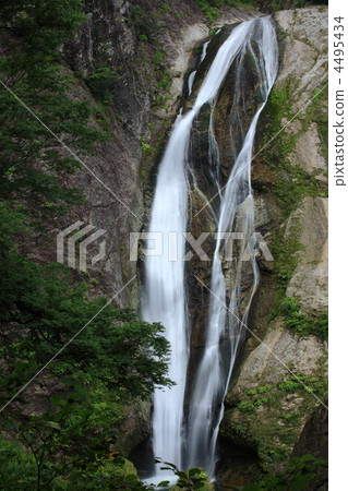 Niigata Prefecture · Suzuga Falls 4495434