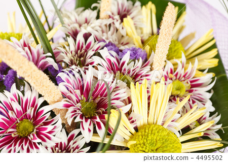 nice flowers nice flowers 4495502