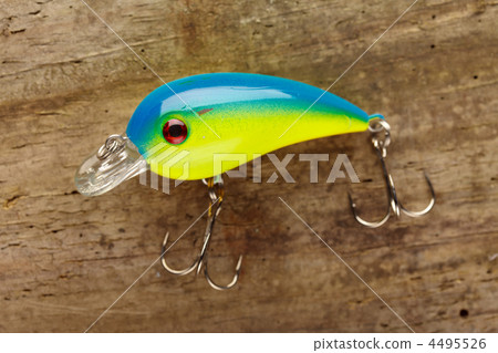 fishing lure 4495526