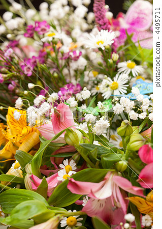 bouquet of colorful flowers bouquet of colorful flowers 4495711