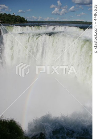 Devil's whistle 4496619