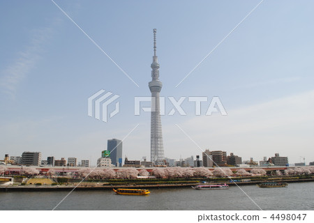 tower, towers 4498047