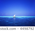 Sea and Doni 4498792