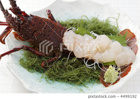 蝦伊勢生魚片 蝦伊勢生魚片 4499192